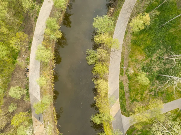 Potok Parku Mezi Stromy Zobrazení Leteckých Dronů — Stock fotografie