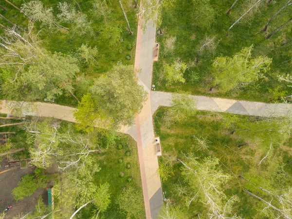 Walkways Park Trees Spring Day Aerial Drone View — Stock Photo, Image