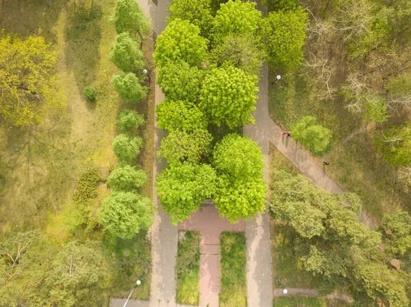 Περπάτημα Στο Πάρκο Ανάμεσα Στα Δέντρα Μια Ανοιξιάτικη Μέρα Αεροφωτογραφία — Φωτογραφία Αρχείου