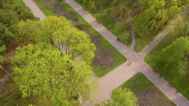 キエフの公園で春の緑の木 空中ドローンビュー — ストック動画