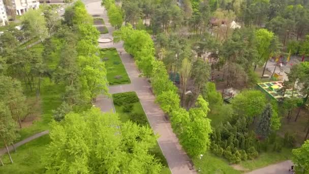 キエフの公園で春の緑の木 空中ドローンビュー — ストック動画