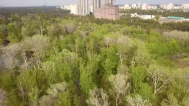 İlkbahar gününde Forest Gölü. Hava aracı görünümü