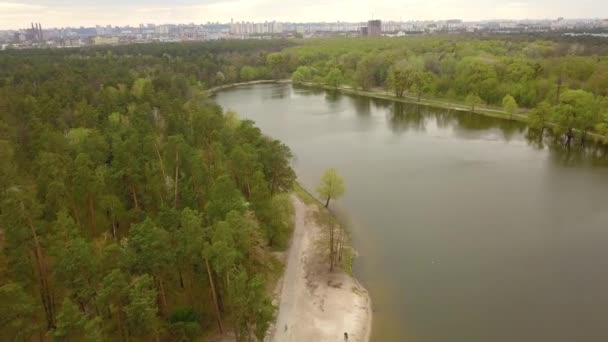 Forest Lake Spring Day Aerial Drone View — Stock Video