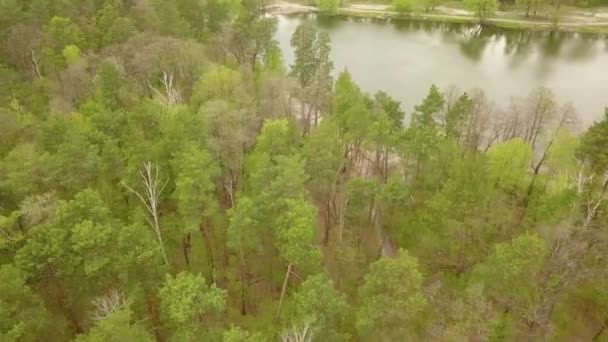 春の日に森の湖 空中ドローンビュー — ストック動画