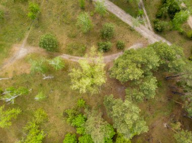 Bahar ormanında toprak yol. Hava aracı görünümü.