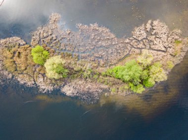 Nehirde küçük bir ada. Arial drone görünümü.