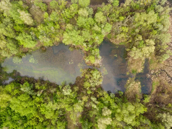 落叶森林中的一个小湖 云反映在水中 空中无人驾驶飞机视图 — 图库照片