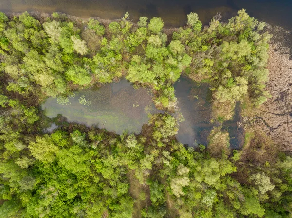 落叶森林中的一个小湖 云反映在水中 空中无人驾驶飞机视图 — 图库照片