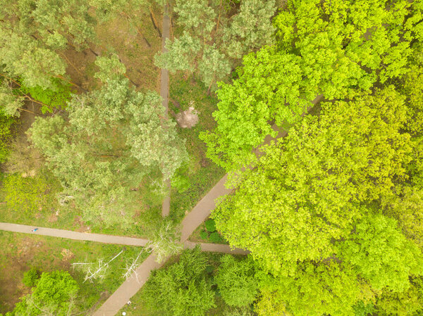 Green trees in spring in a park in Kiev. Aerial drone view.