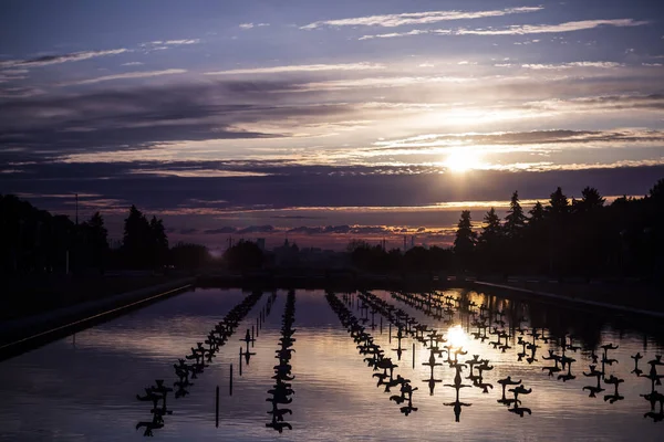 Suyun üzerinde güneşli bir yaz sabahı