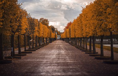 Yağmurdan sonra sonbahar sokağı