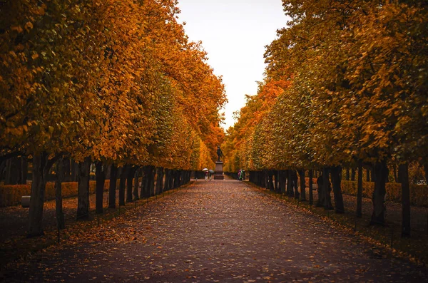 Yağmurdan sonra sonbahar sokağı