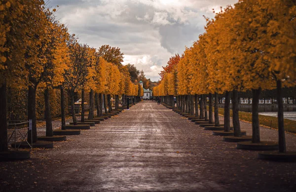 Yağmurdan sonra sonbahar sokağı