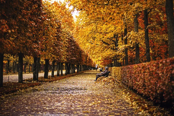 Yağmurdan sonra sonbahar sokağı