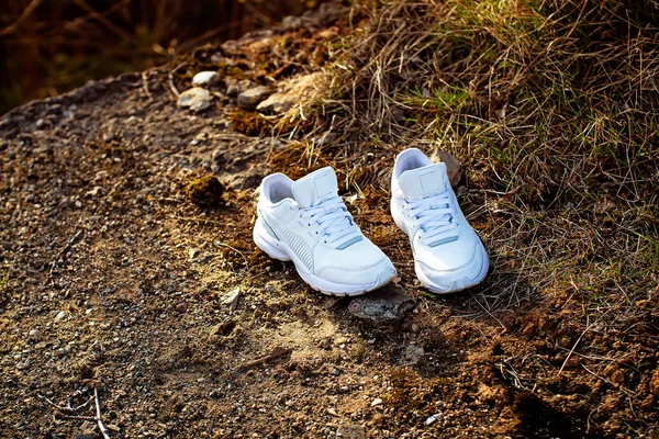 Vita Sneakers Förra Årets Gräs — Stockfoto