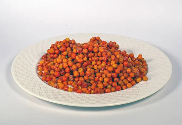 Donmuş meyveler beyaz bir tabakta