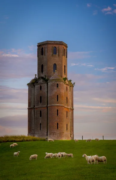 Horton Tower, a folly in East Dorset at sunset — Stock Photo, Image