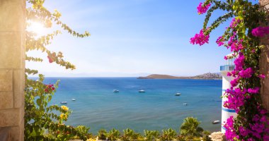 Çerçeve güzel çiçekler, Ortakent, Bodrum, Türkiye'de Deniz Manzaralı