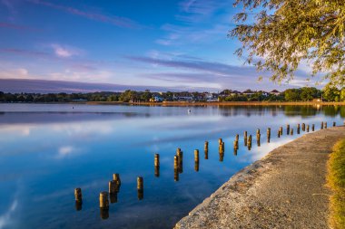 Poole Dorset parkta