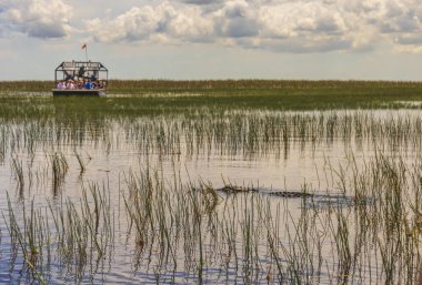 Florida Everglades bataklık teknesi, denizaltıları görmek için yola çıkıyor.