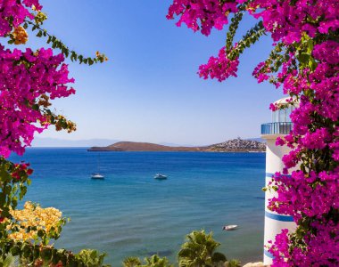 Güzel pembe ve mor çiçekler, ortak bir deniz manzarası çerçevesi oluşturur., 