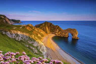 Güneş Jurassic sahilinden batıyor ve Dorset 'teki Durdle Kapısı' nda Seak Pembe Trift ön plandaki uçurumun tepesinde büyüyor.