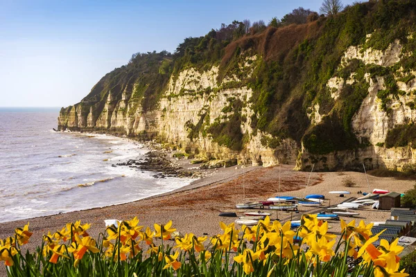 Wczesnym Rankiem Światło Słoneczne Oświetla Kamyki Plaży Piwie Devon — Zdjęcie stockowe