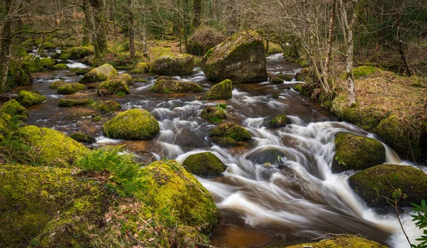 Acqua Bianca Scende Cascate Multiple Fiume Nel Devon Con Muschio — Foto Stock