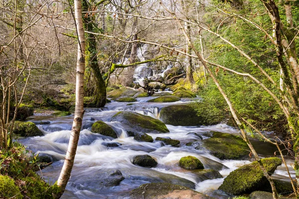 Acqua Bianca Scende Cascate Multiple Fiume Nel Devon Con Muschio — Foto Stock