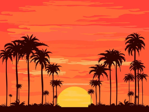夜晚在沙滩上夏天的橙色天空和椰子树的影子矢量 — 图库矢量图片