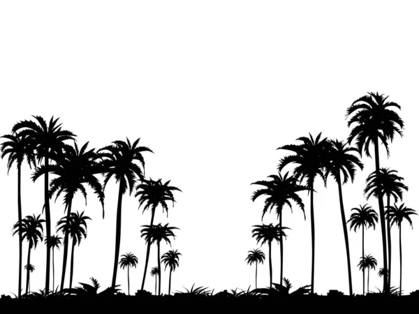 Vector Silhouettes Coconut Trees Isolated Transparent Background Eps — Stock Vector