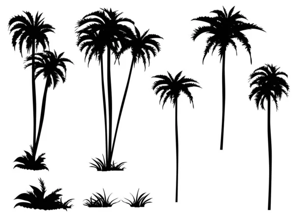 Vector Silhouettes Coconut Trees Set Isolated Transparent Background Eps — Stock Vector