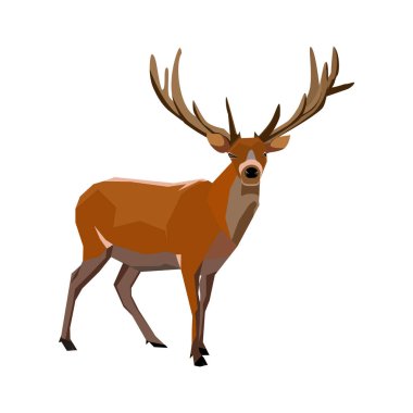 Geyik Tayland 'da yaşayan bir hayvandır.