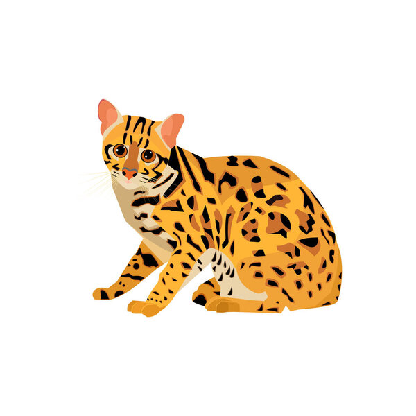 wild cat is an inhabitant animal of Thailand vector