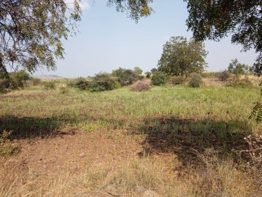 Ekinleri temizledikten sonra eski açık arazi, kara pamuk toprağı & karlı değil, yaz mevsiminde bu arazi koşulları.