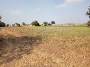 Ekinleri temizledikten sonra eski açık arazi, kara pamuk toprağı & karlı değil, yaz mevsiminde bu arazi koşulları.