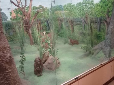 Salar Jung Müzesi, Hindistan 'ın Hyderabad kentindeki Musi Nehri' nin güney kıyısındaki Dar-ul-Shifa 'da bulunan bir sanat müzesidir. Hindistan 'ın üç ulusal müzesinden biridir..