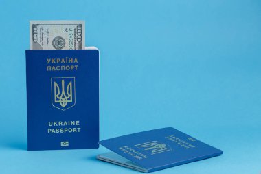 Ukrayna pasaportunda 100 dolarlık banknot. Bir pasaport mavi arka planda, yakın plan seyahat işinin yanında yatıyor.