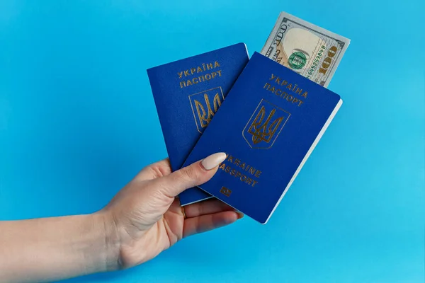 2 passports of Ukraine in the hand of a girl with manicure on a blue background inside the passport banknote 100 dollars