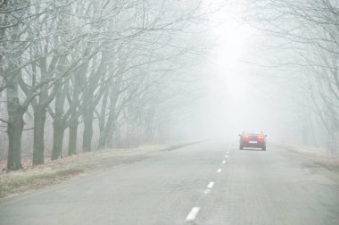 Araba siste yollarda. Kötü kış havası ve yolda tehlikeli otomobil trafiği. Siste hafif bir araç. Kalın siste ağaç yolu olan kırsal yolda araba sürüyor. Metin için boşluk.