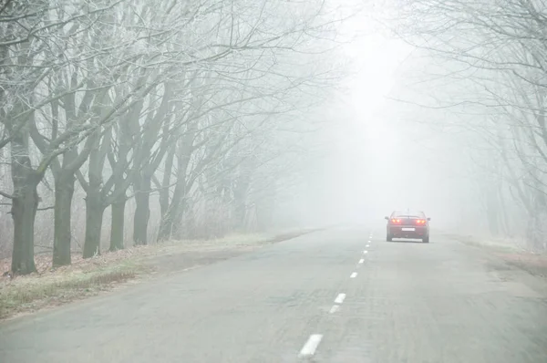 Car on the road in the fog. Bad winter weather and dangerous automobile traffic on the road. Light vehicle in fog. Car drives on rural road with tree alley on thick fog. Space for text.