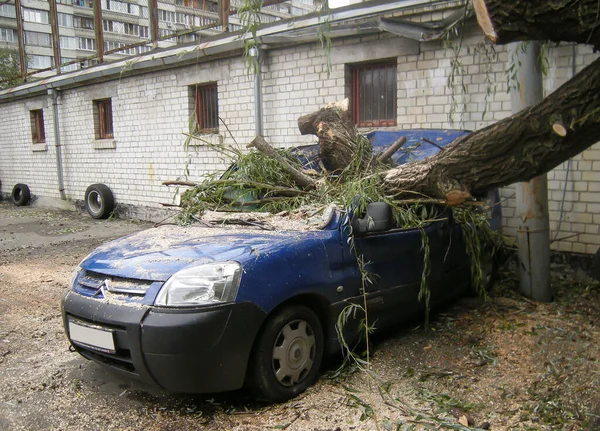 KIEV, UKRAINE-8 Temmuz: KIEV, UKRAINE-8 Temmuz 2016 