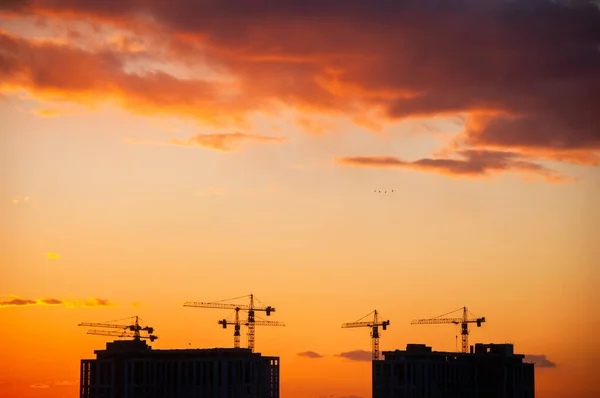 Sunset landscape. Silhouette of the construction cranes and buildings. Space for text. Selective Focus. Evening sky backdrop with construction site at orange sunset.