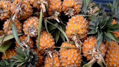 Ananas veya olgun ananas, markette organik ananas kazık
