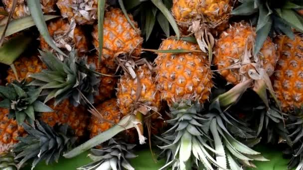 Ananas nebo Zralý ananas, hromada organických ananas na trhu — Stock video
