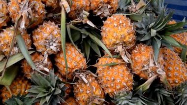 Ananas veya olgun ananas, markette organik ananas kazık