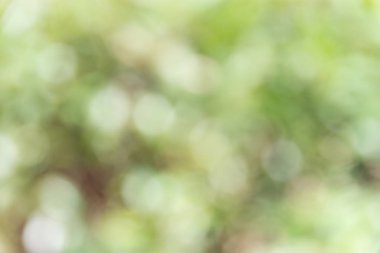 arka plan ağaç ile bulanıklık