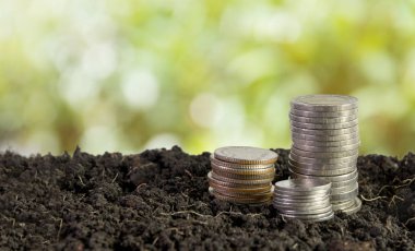 sikke para kavramı kaydetmek toprakta