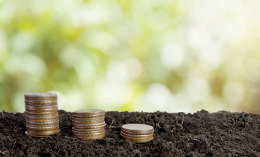 sikke para kavramı kaydetmek toprakta