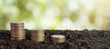 sikke para kavramı kaydetmek toprakta